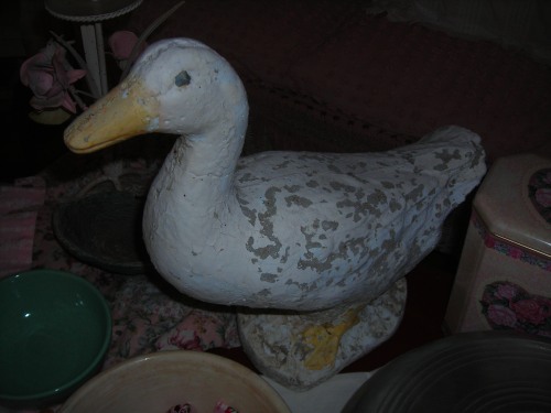 duck!! this treasure (who's v. heavy) was in the yard next door to where i grew up. he'll now live in my garden and quietly remind me of childhood days gone by ...